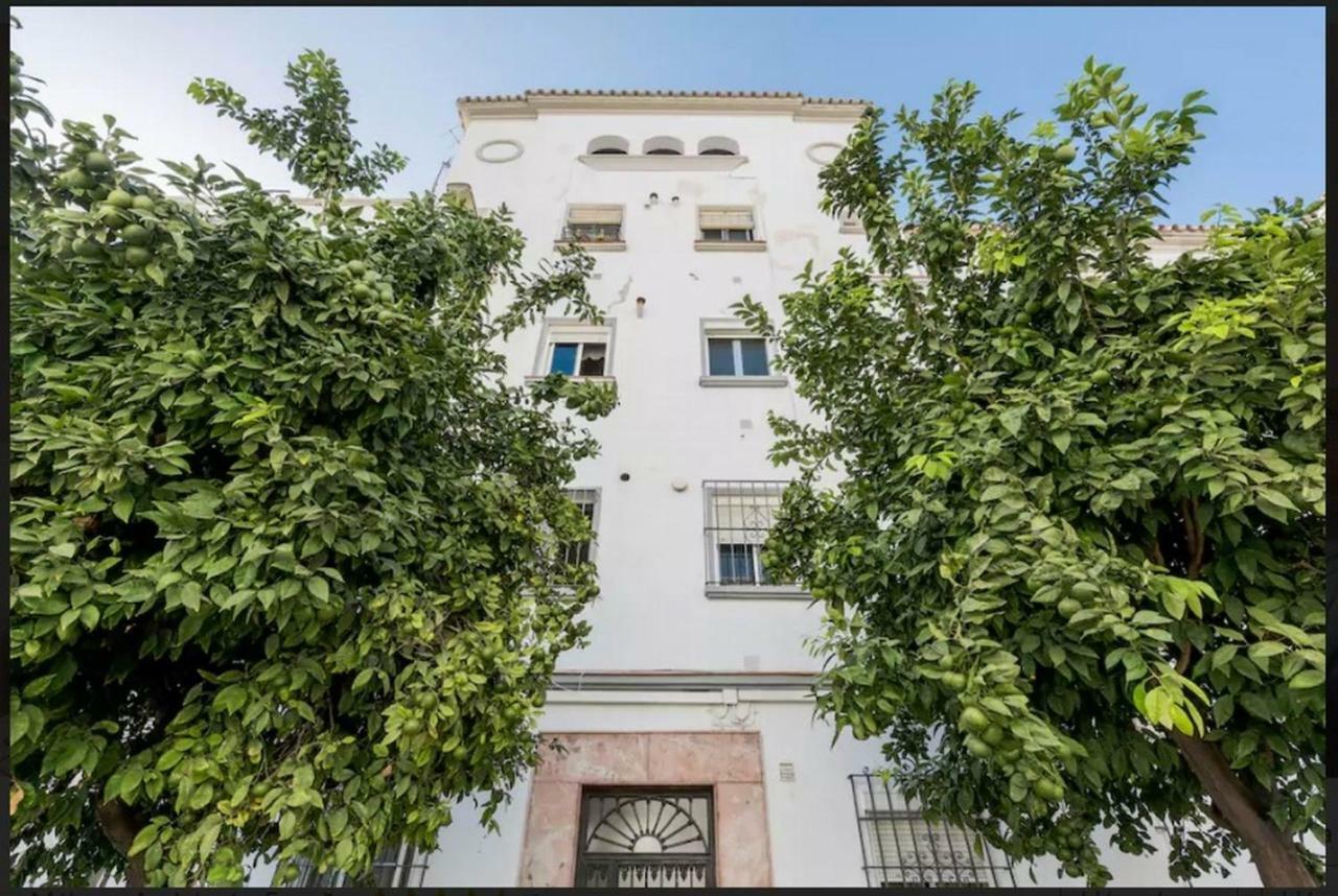 Apartamento Milagros 110 m2 Málaga Exterior foto